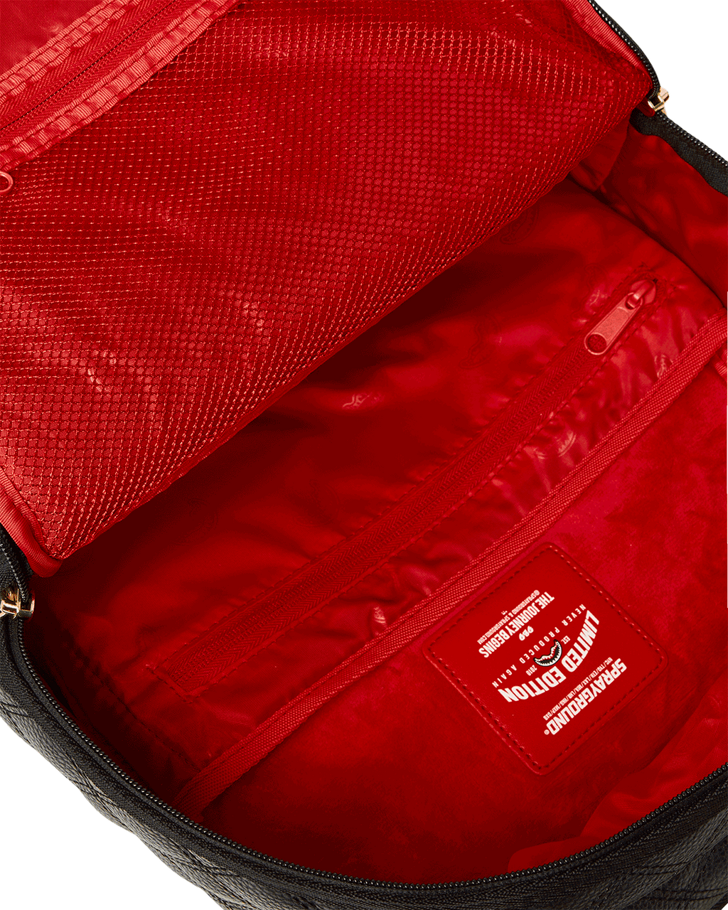 CATWALK CURRENCY BACKPACK (DLXV)