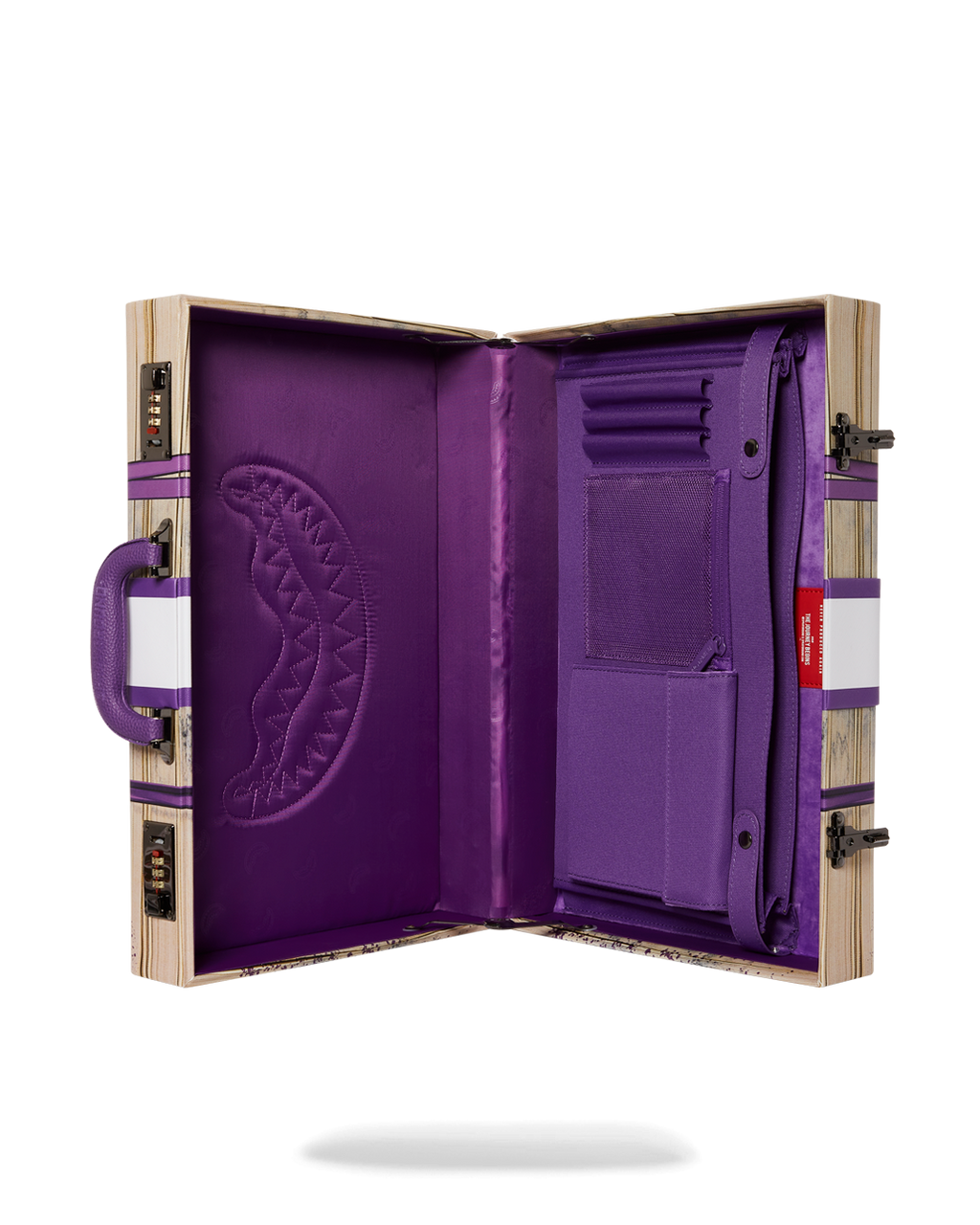 BILLIONS IN THE BANK BRIEFCASE