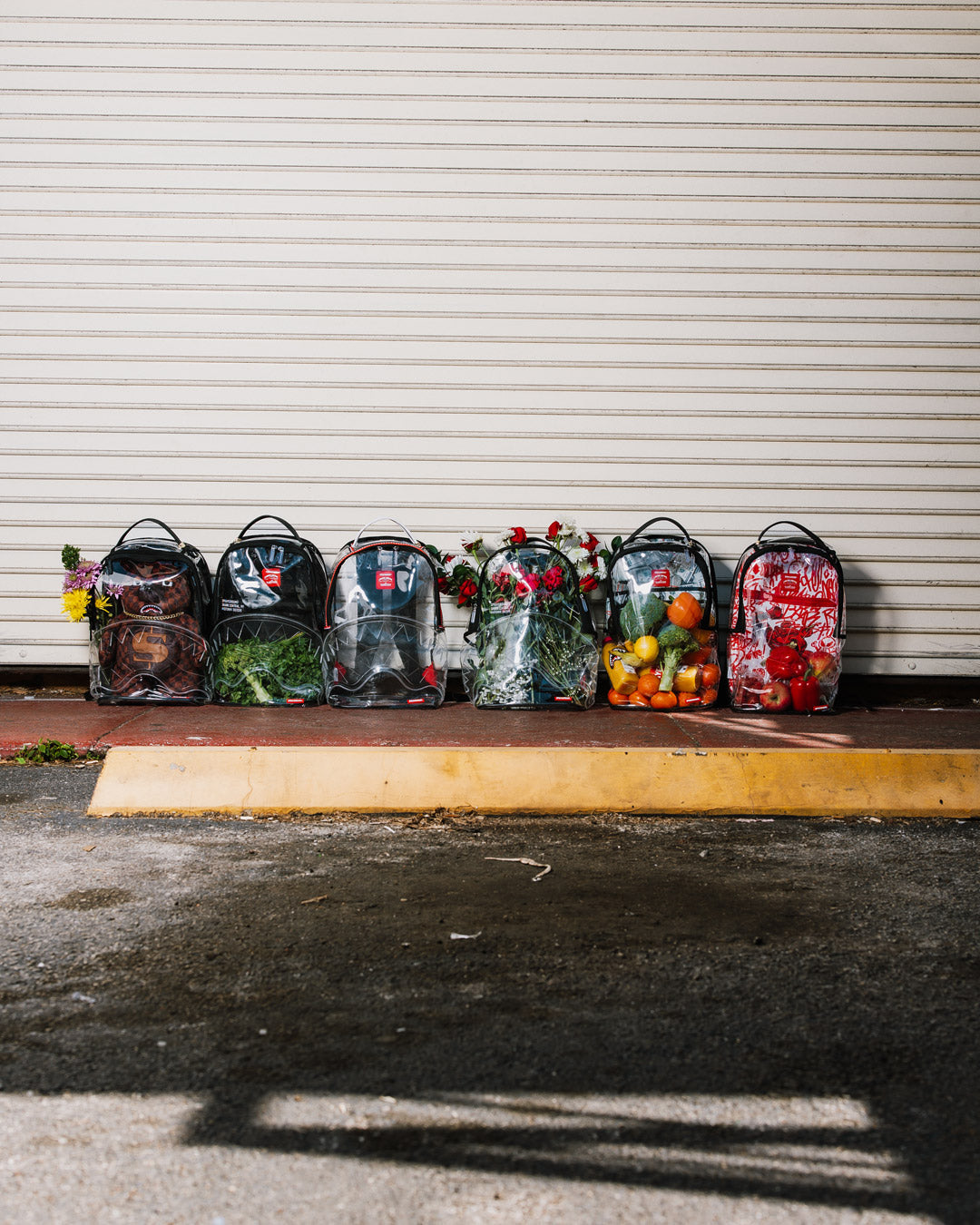 CLEAR BACKPACK - SHARKS IN PARIS BEAR